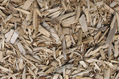 biomass boilers Nettacott